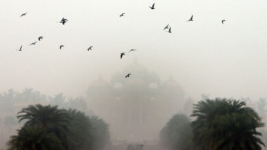 Delhi