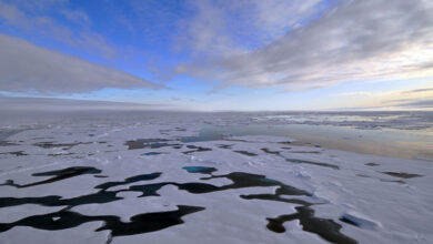 Arctic Ocean