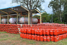 Liquefied Petroleum Gas