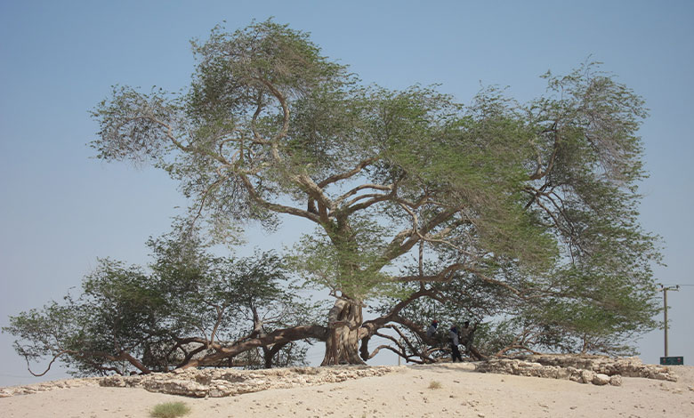 Bahrain