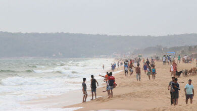 Goa