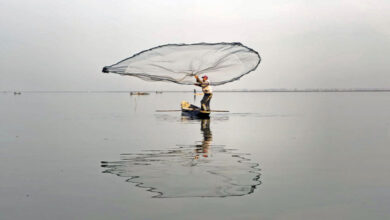 Jammu and Kashmir