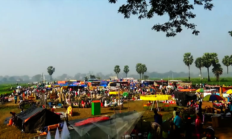 Makar Sankranti