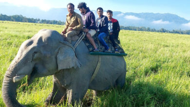 Kaziranga National Park