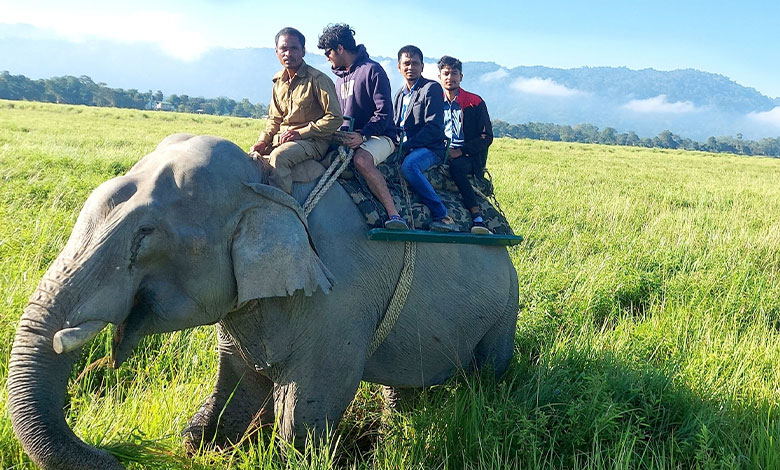 Kaziranga National Park