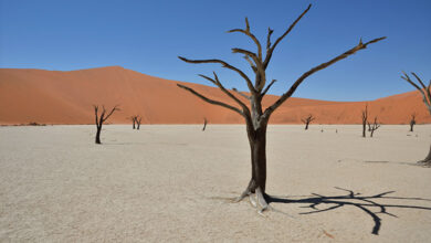 Namibia