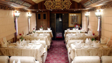 Palace on Wheels