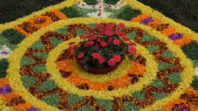 Saraswati Puja