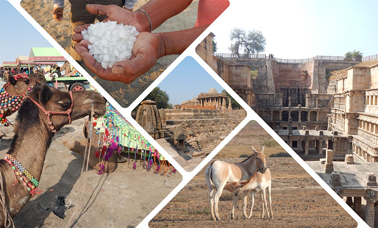 Little Rann of Kutch