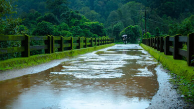 Monsoon