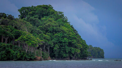 Andaman and Nicobar Islands