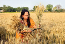 Hema Malini
