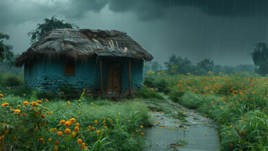 Monsoon