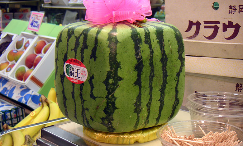 Watermelon