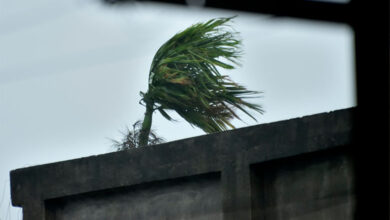 Cyclone