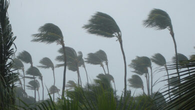 Cyclone