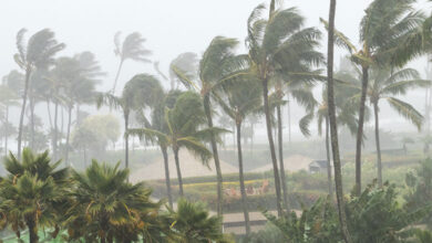 Cyclone