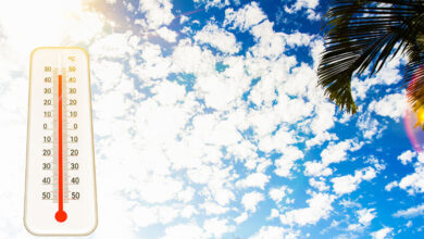 Hot Weather
