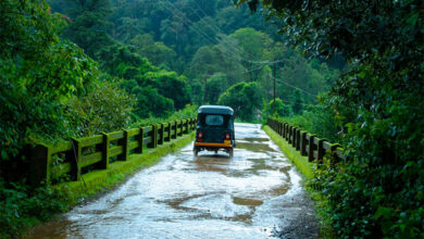 Monsoon