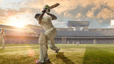 Cricket