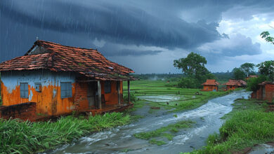 Monsoon