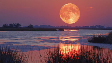 Moon