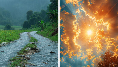 Nature