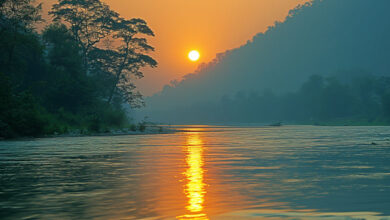 Nature