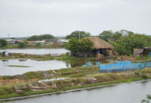 Village