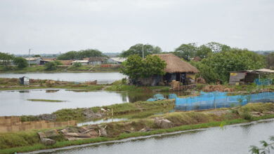Village