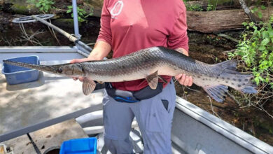 Florida