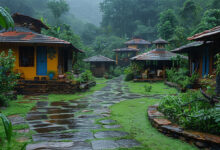 Monsoon