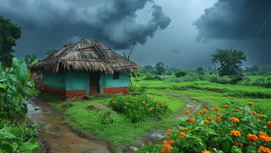 Monsoon