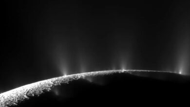 NASA