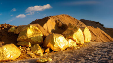 Gold Mine