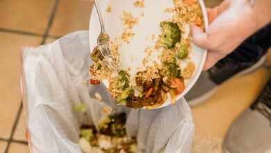 Dustbin