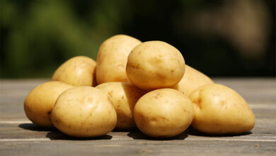 Potato