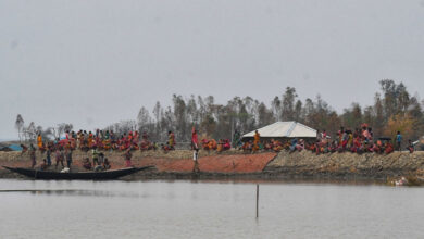 Sundarbans