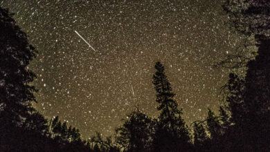 Meteorite