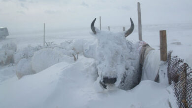 Mongolia