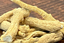 Ayurveda