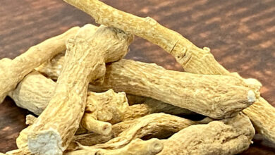 Ayurveda