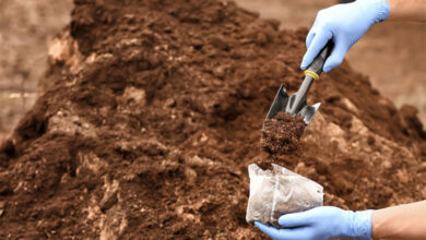 Digging