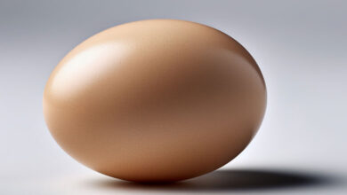 Egg