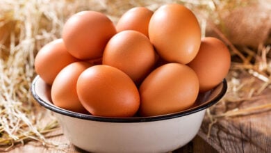 Eggs