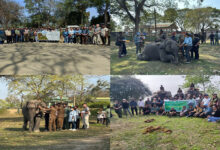 Kaziranga National Park