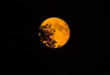 Moon