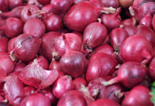 Onions