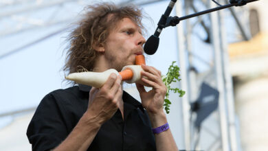 The Vegetable Orchestra