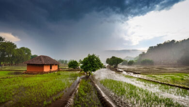 Monsoon